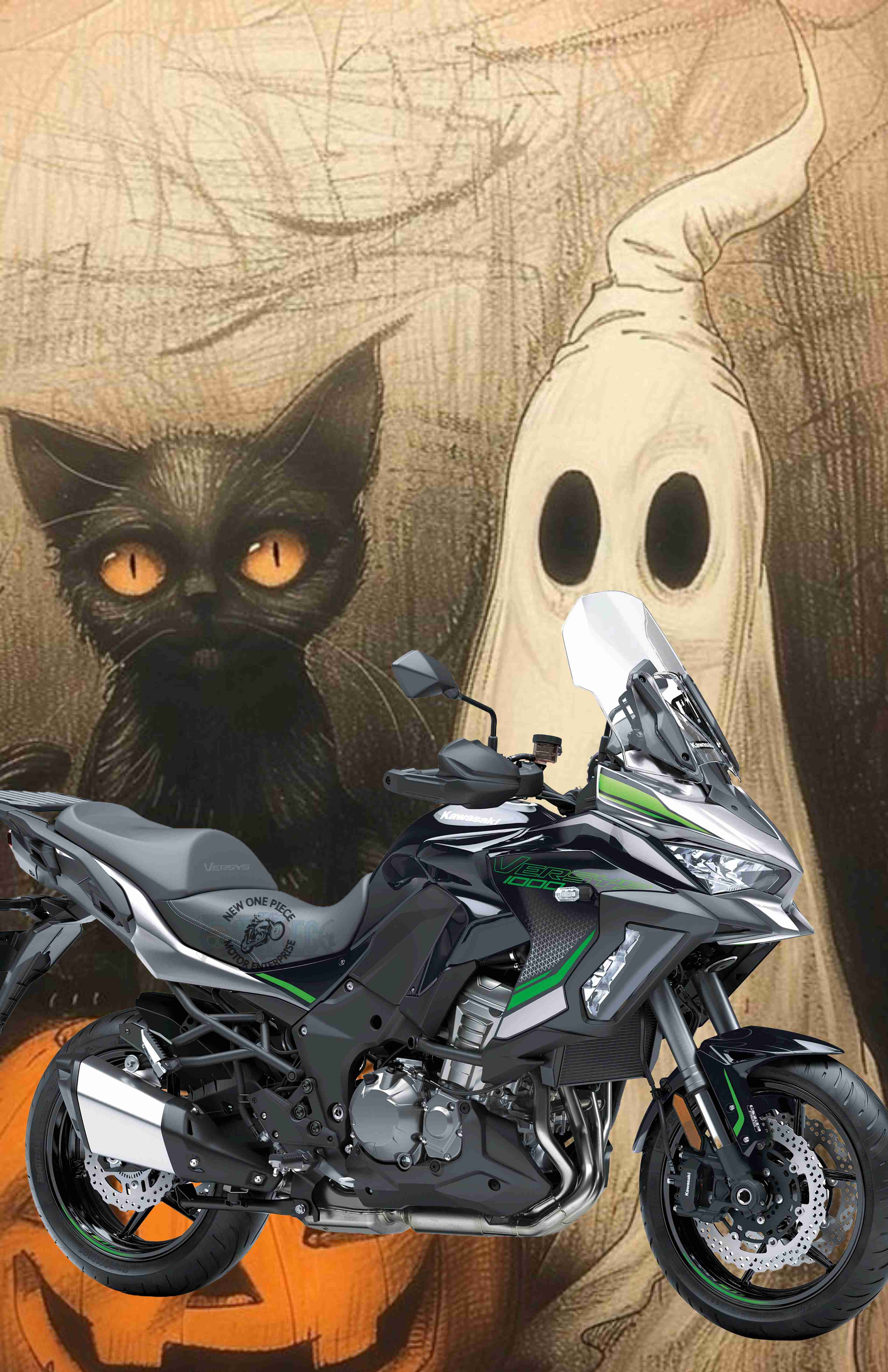 KAWASAKI VERSYS 1000 S (METALLIC PHANTOM SILVER)
