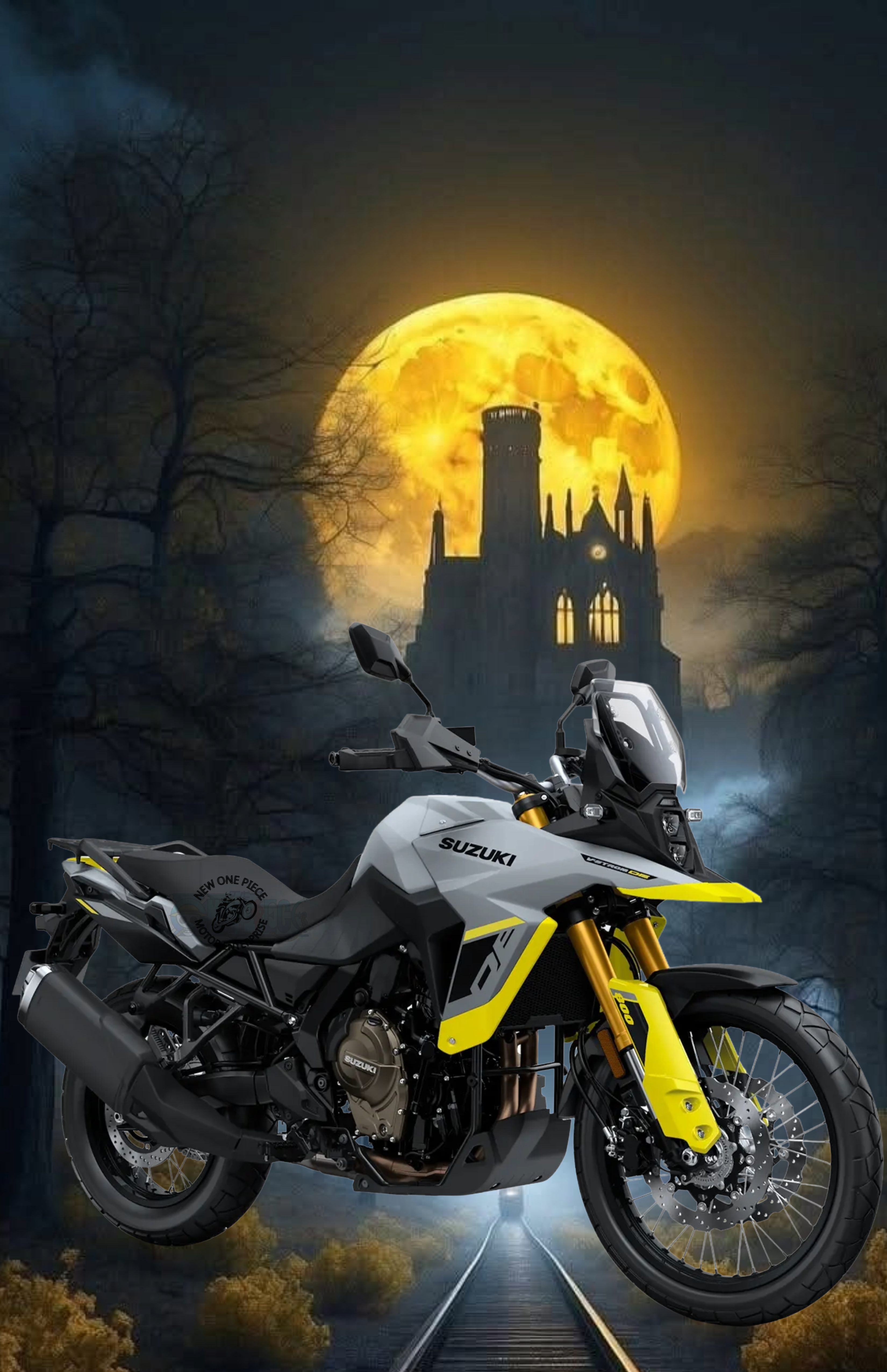 SUZUKI V-STROM 800DE (SILVER)