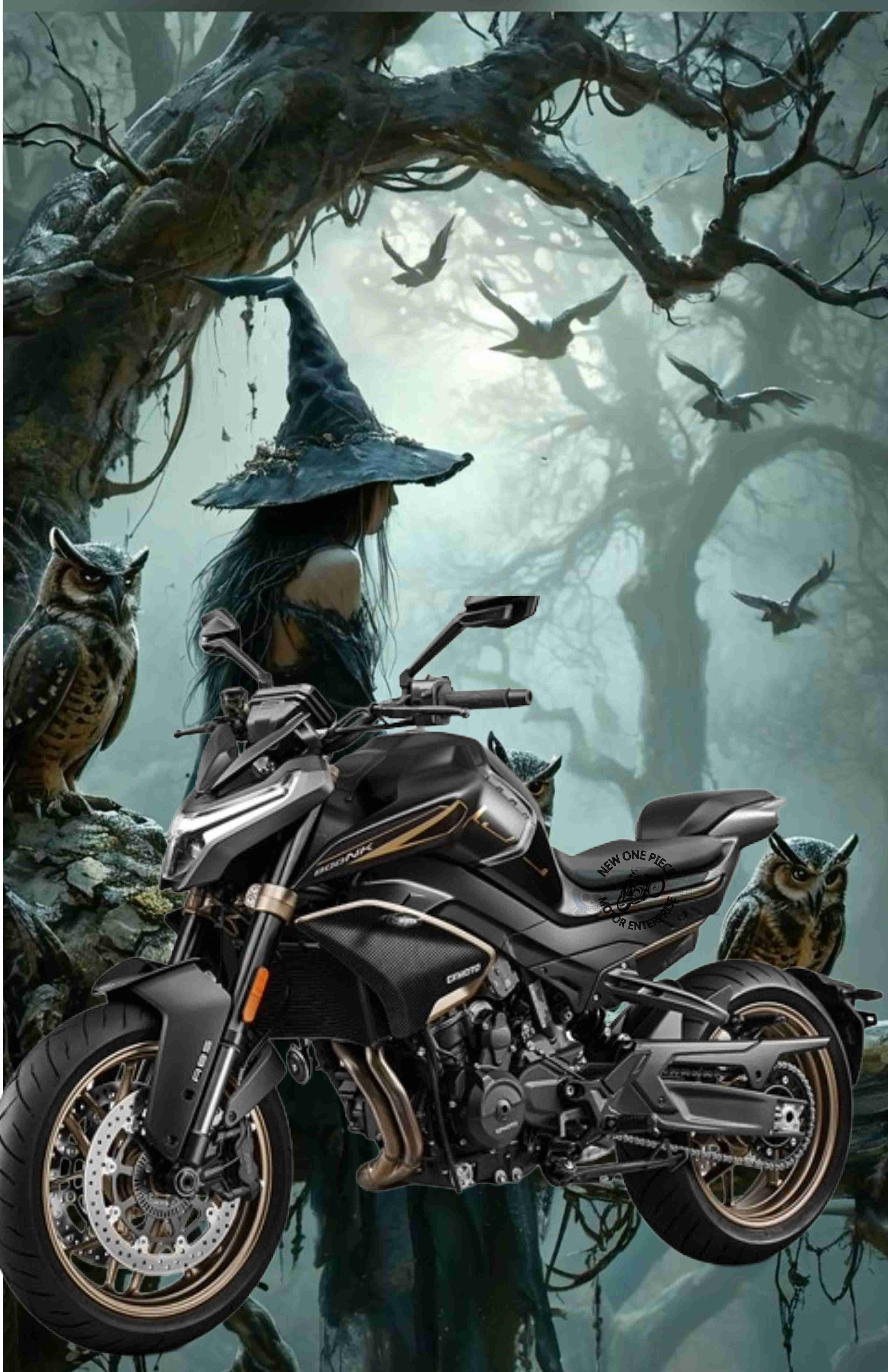 CFMOTO 800NK (ZIRCON BLACK)