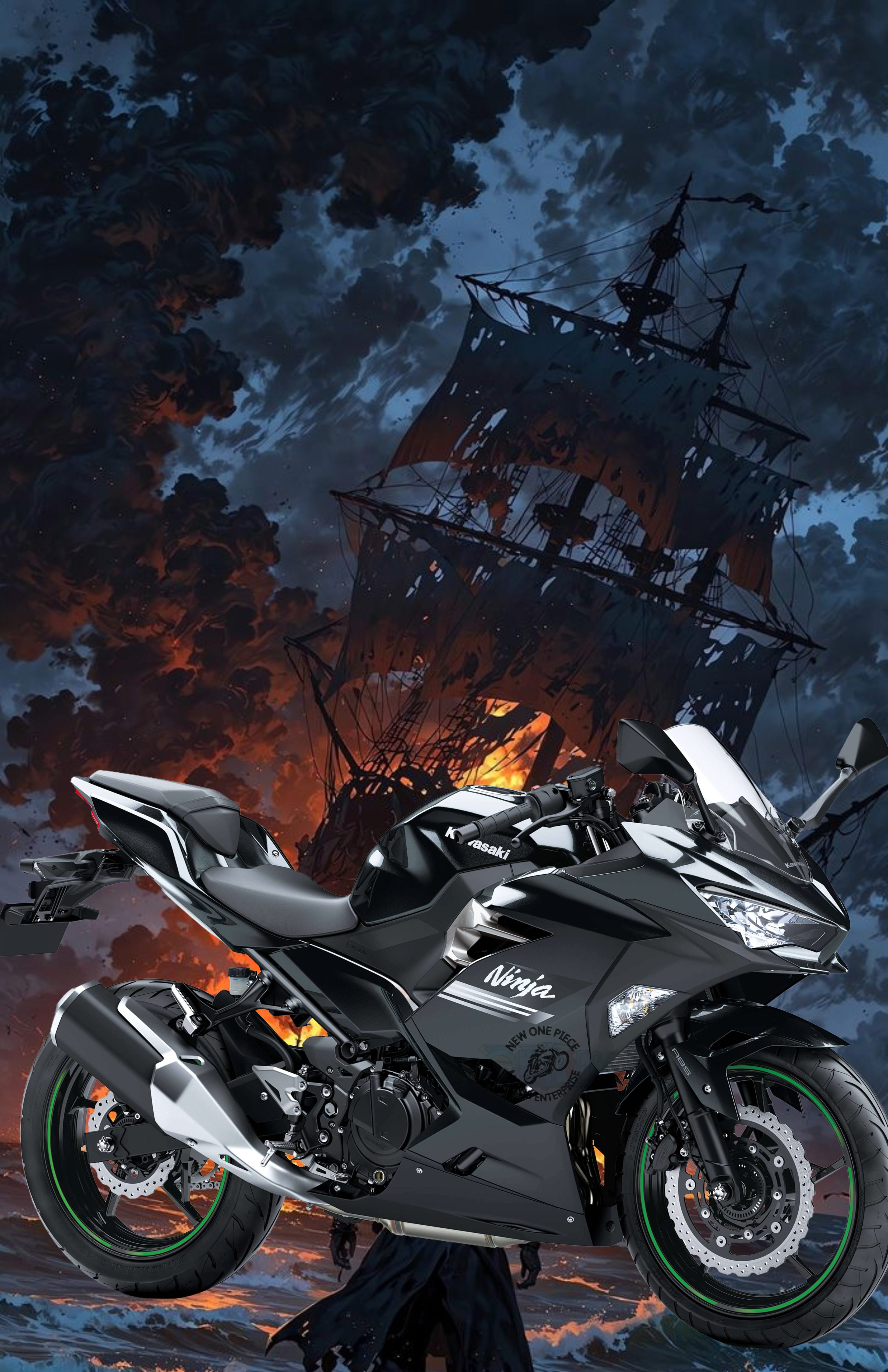 KAWASAKI NINJA 250 (EBONY BLACK)