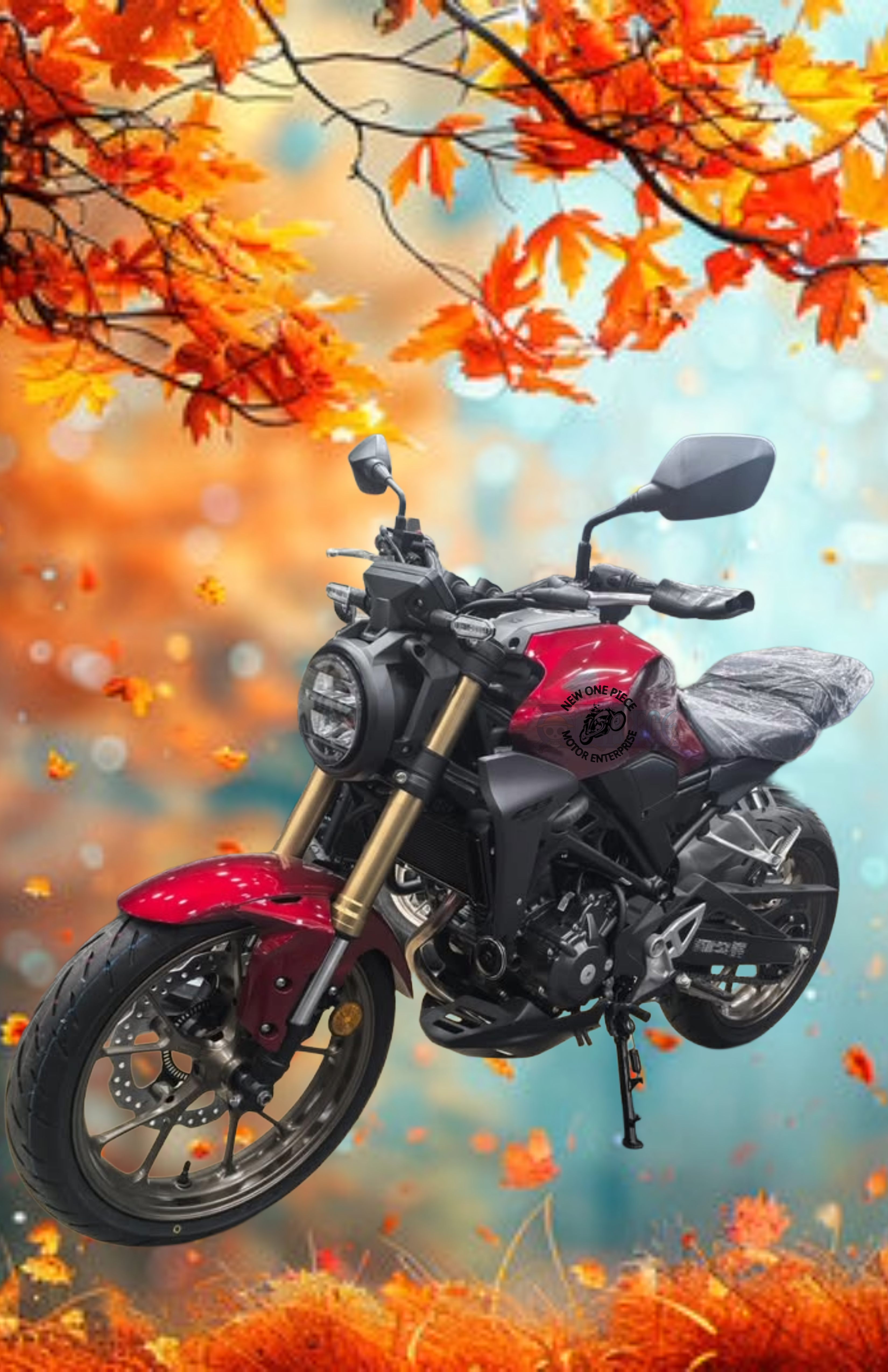 HONDA CB250R (CANDY CHROMOSPHERE RED)