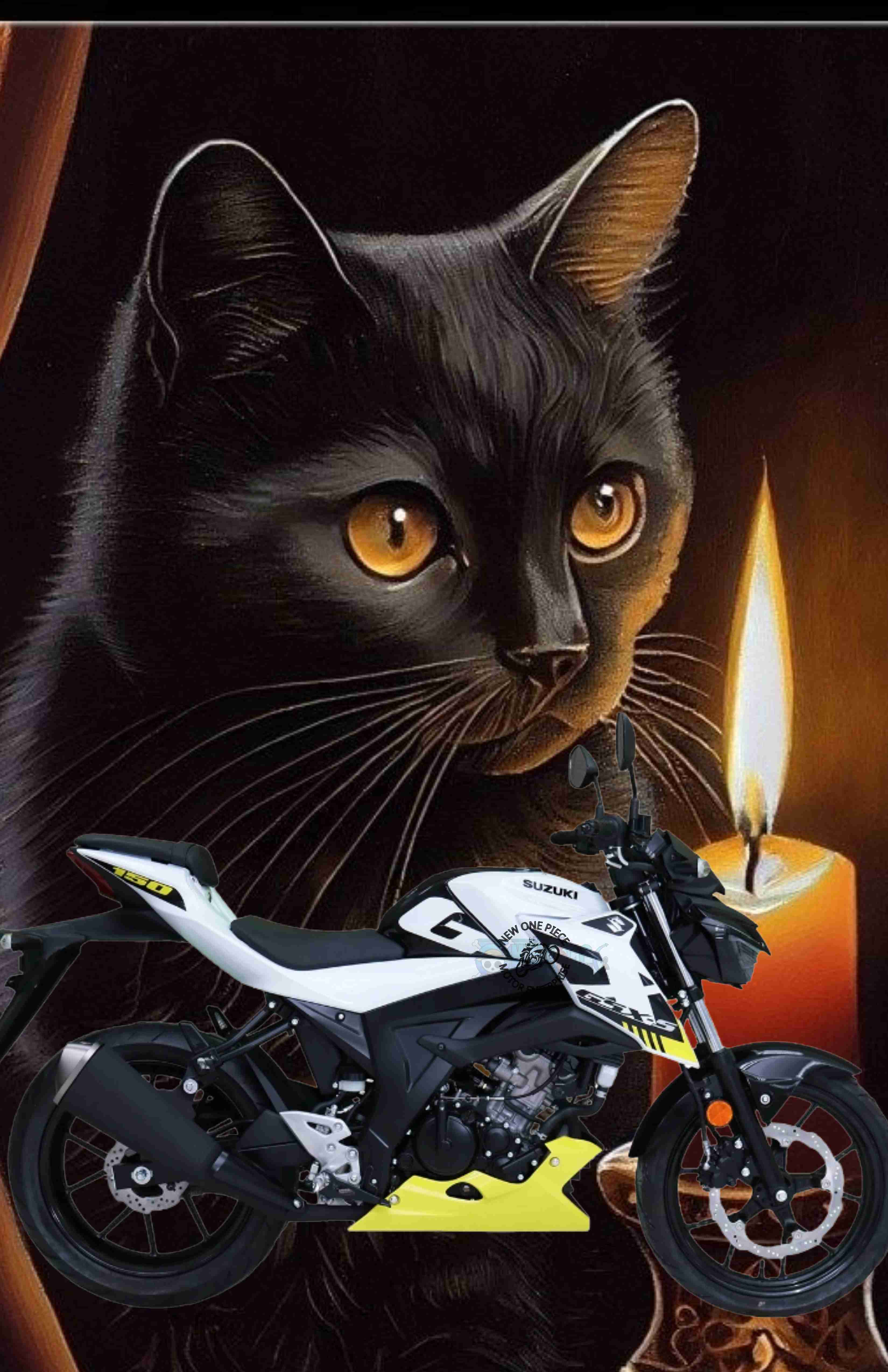 SUZUKI GSX-S150 (PEARL BRILLIANT WHITE)