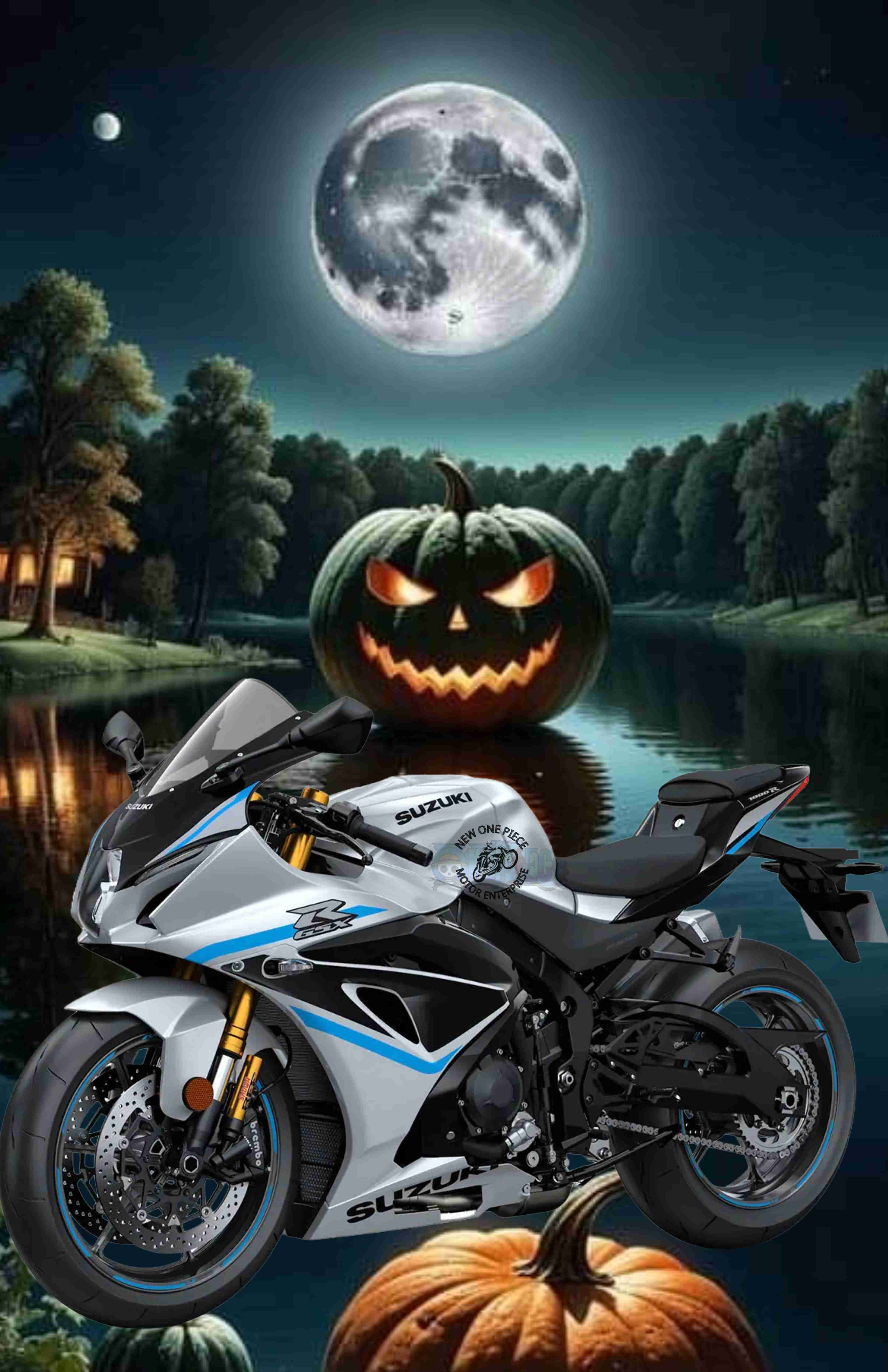 SUZUKI GSX-R1000R (METALLIC  MAT SWORD SILVER)