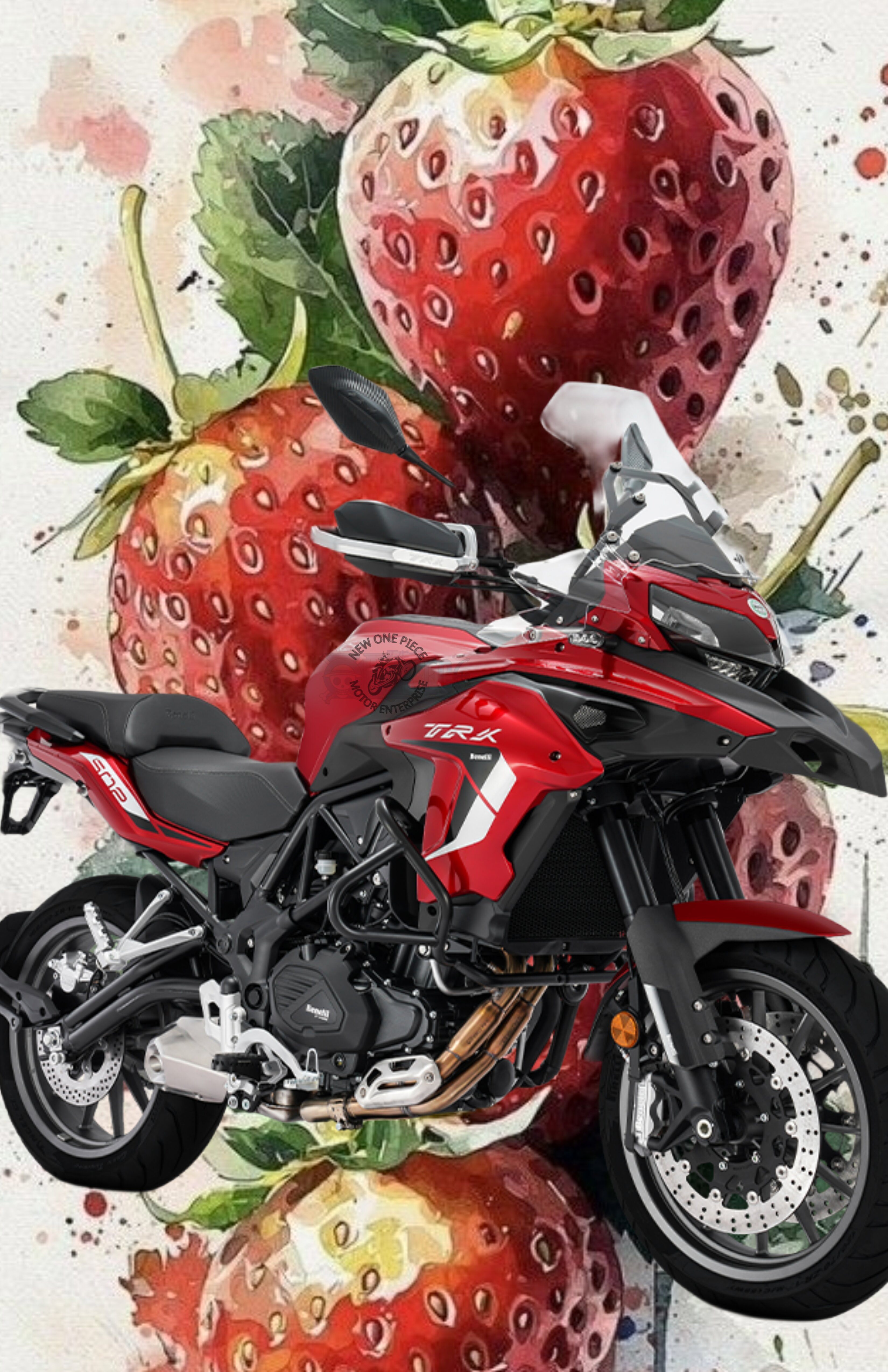BENELLI TRK502 LE V2 (RED/MATTE BLUE/GREY)