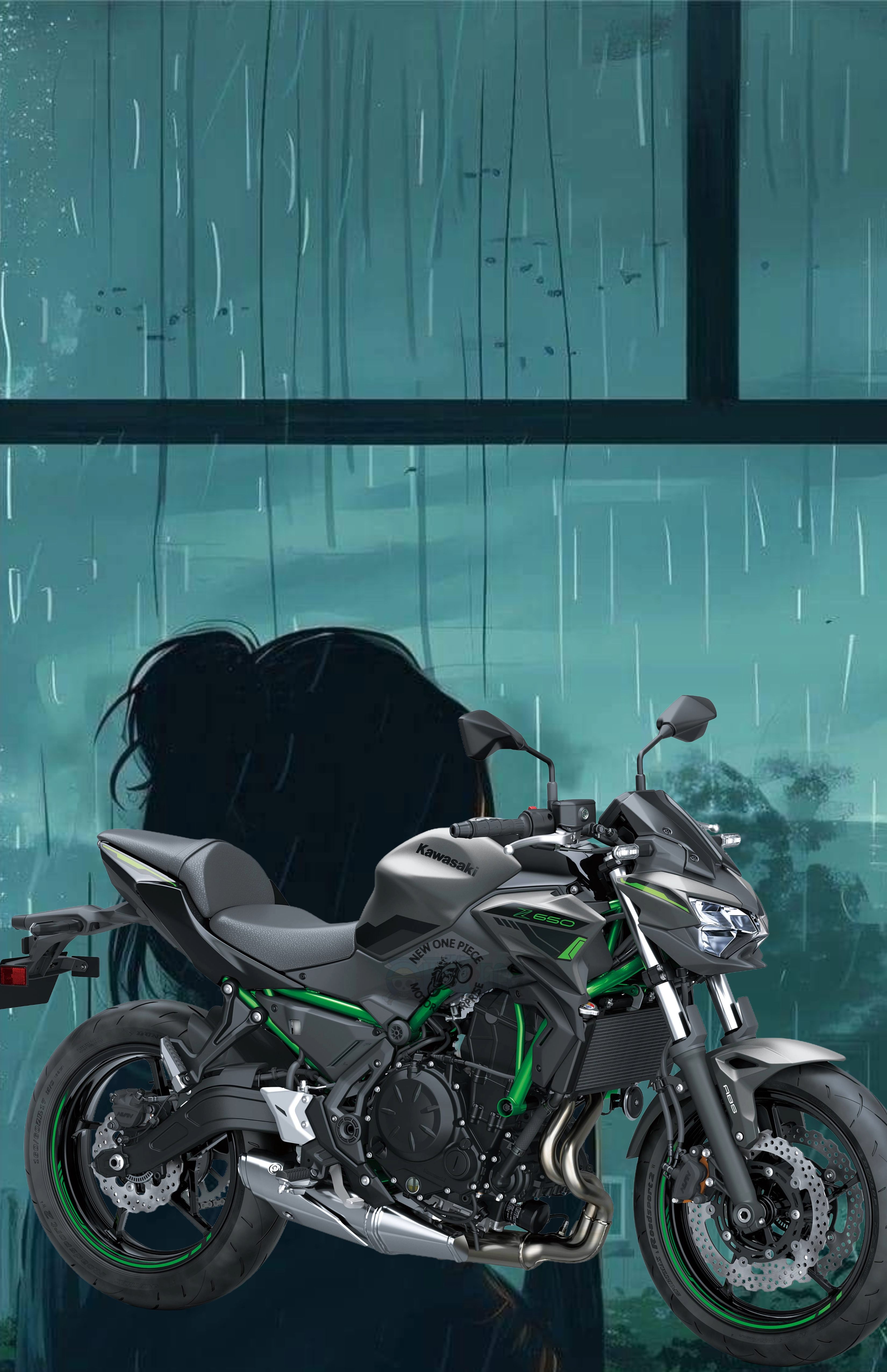 KAWASAKI Z650 (METALLIC SPARKLE BLACK/GREEN)