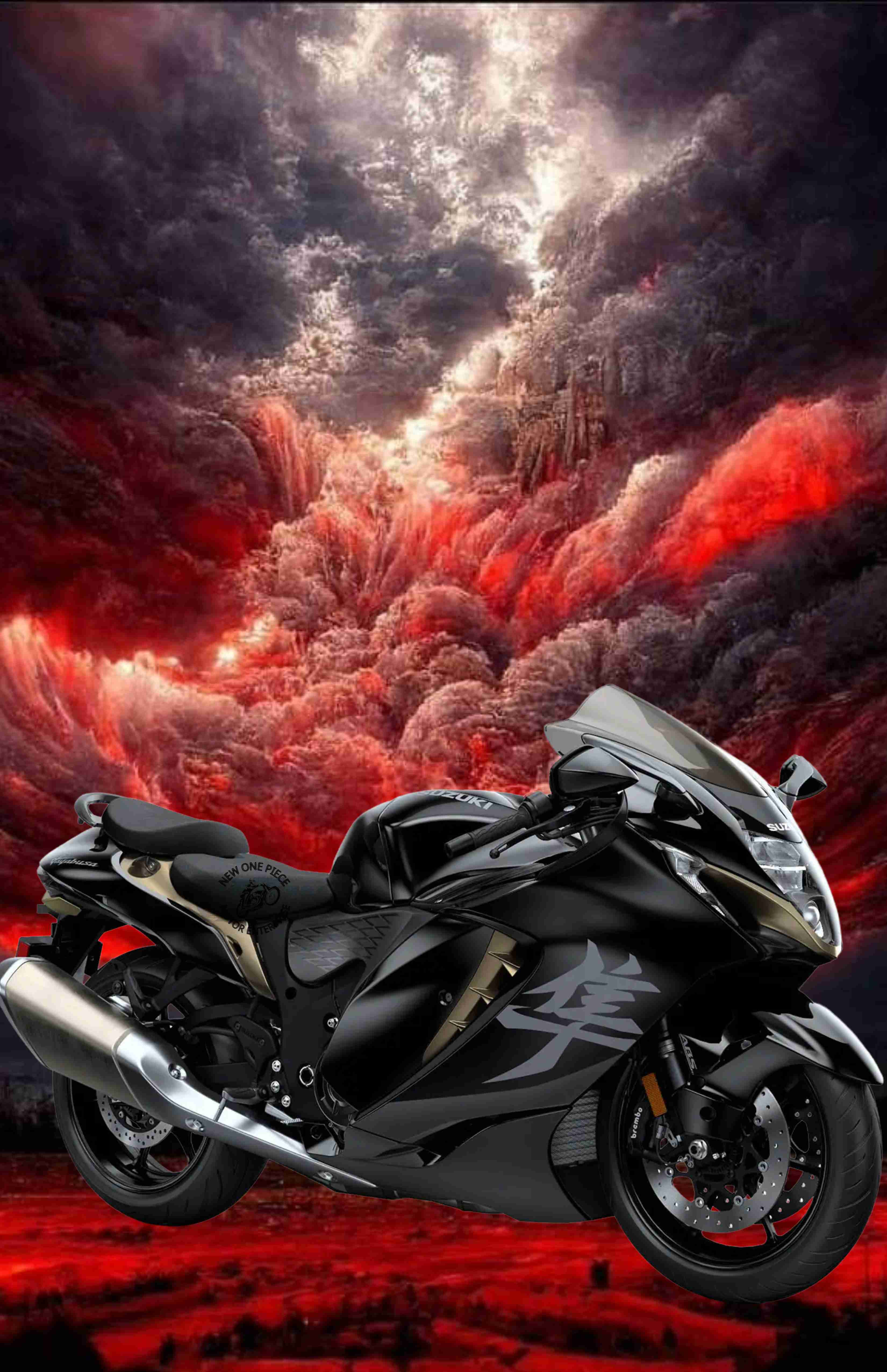 SUZUKI HAYABUSA (GLASS SPARKLE BLACK)